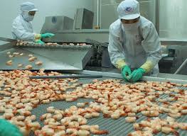 Вьетнамский экспорт креветки в Китай вырос в 2,5 раза на фоне восстановления спроса в Поднебесной 