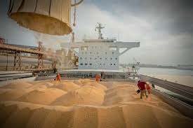 Морские порты РФ в январе сократили перевалку зерна и удобрений