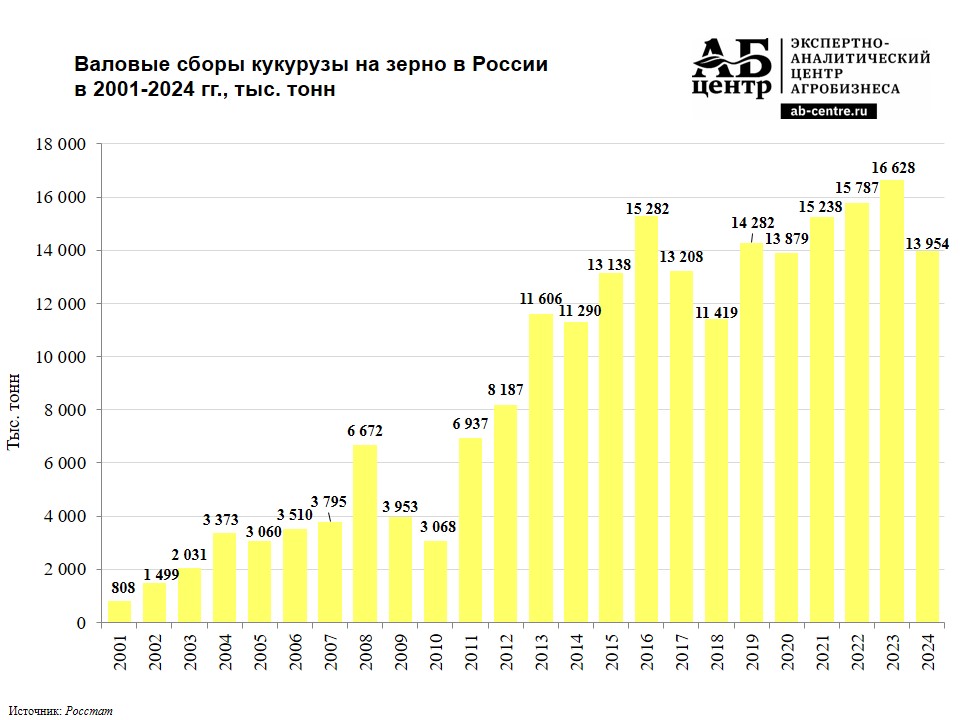 Валовые сборы кукурузы на зерно в России в 2001-2024 гг.JPG